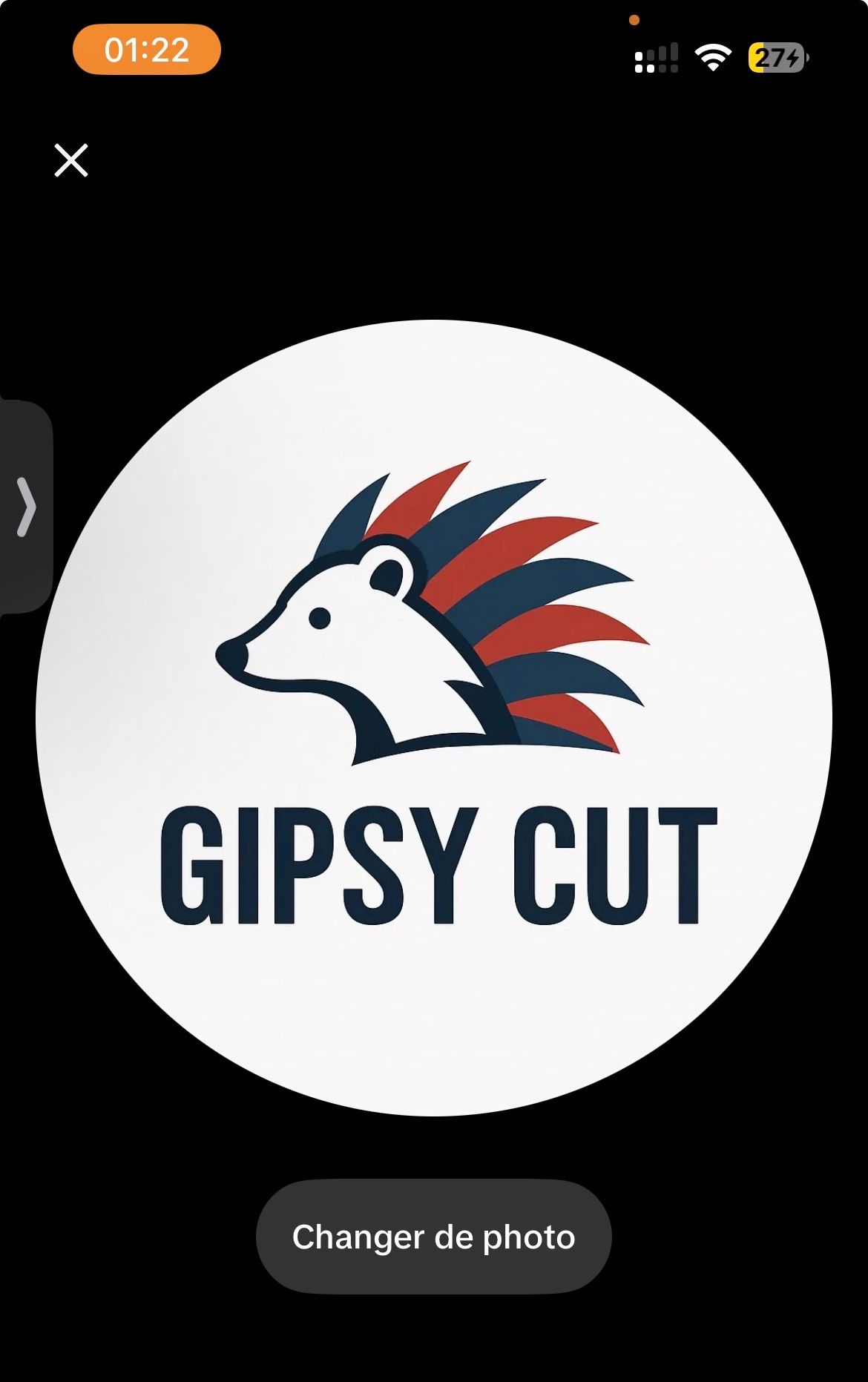 Gipsycut