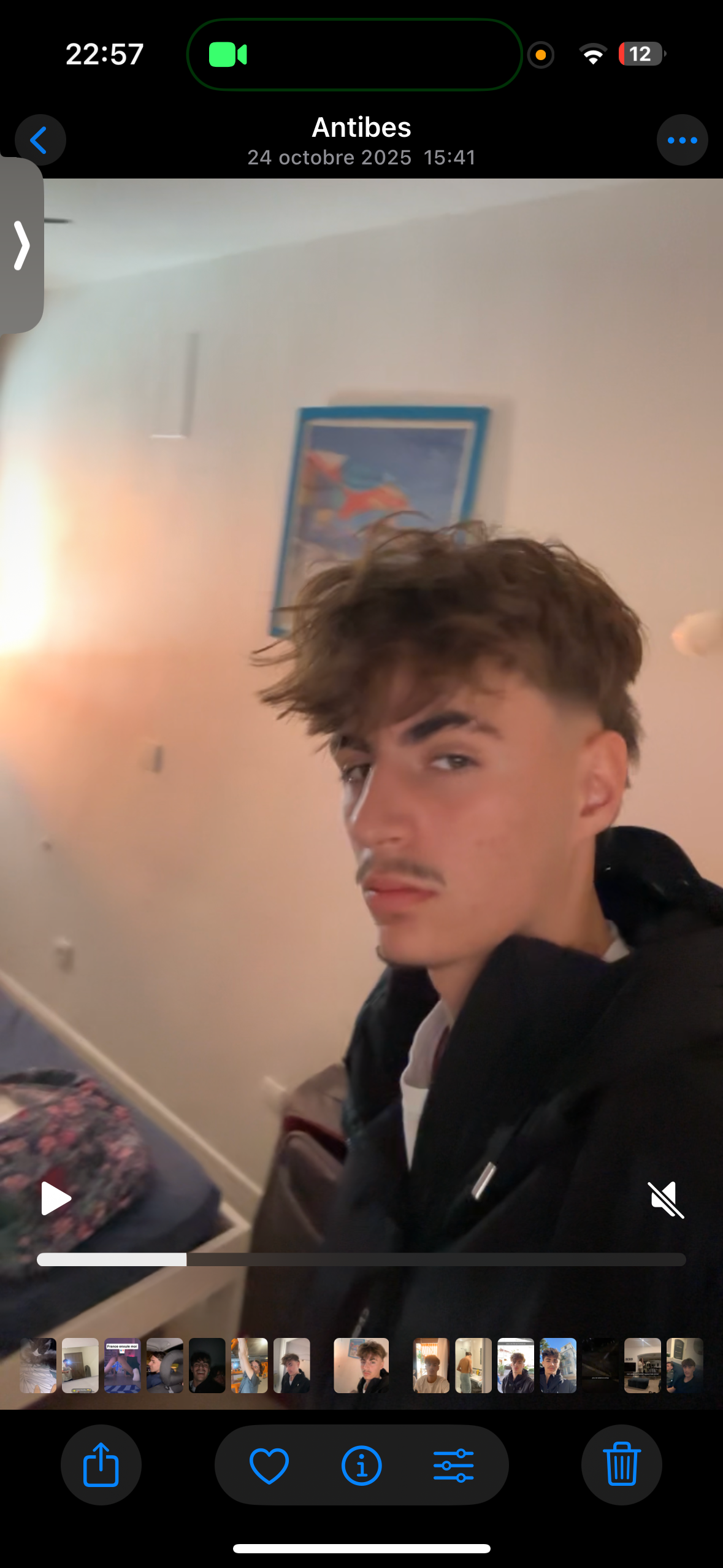 Milzcut